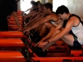 Adelaide Rowers